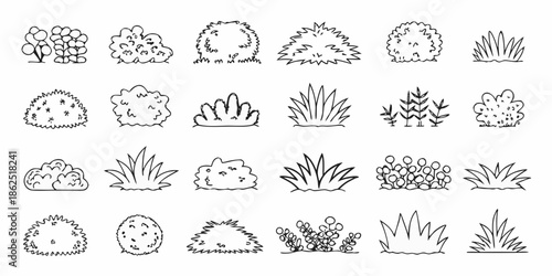 Collection of hand drawn botanical illustrations depicting various shrubs and grasses