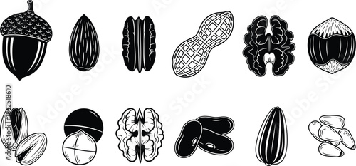 Set of Hand Drawn Vector Nuts and Seeds Including Almond Walnut Peanut and Pistachio in Engraving Style