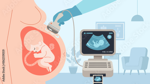 Illustration of a fetus being scanned by a doctor with an ultrasound machine in a medical setting.