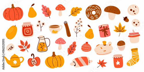Autumnal collection pumpkins leaves mushrooms and cozy seasonal elements illustrated
