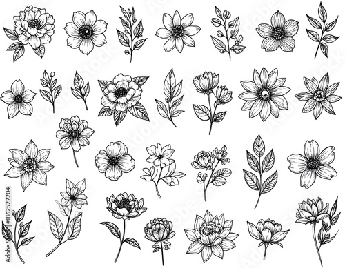 Hand-drawn botanical illustrations of various flowers and foliage in a sketch-like style