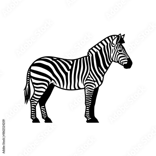 Black and White Zebra Standing Sideways.