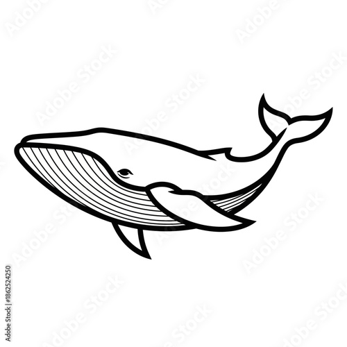 Simple Black and White Whale Illustration.