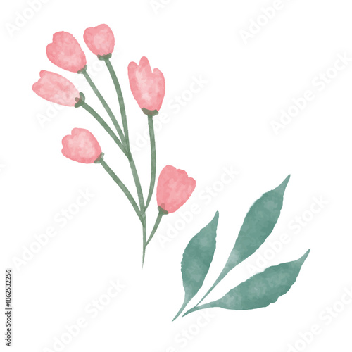 Watercolor Pink Tulip Flowers with Leaves Illustration
