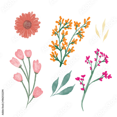 Watercolor Botanical Flowers and Leaf Clip Art Collection