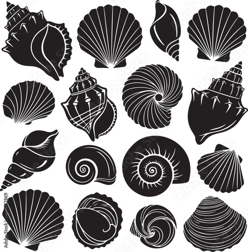 Collection of seashell graphics on transparent background