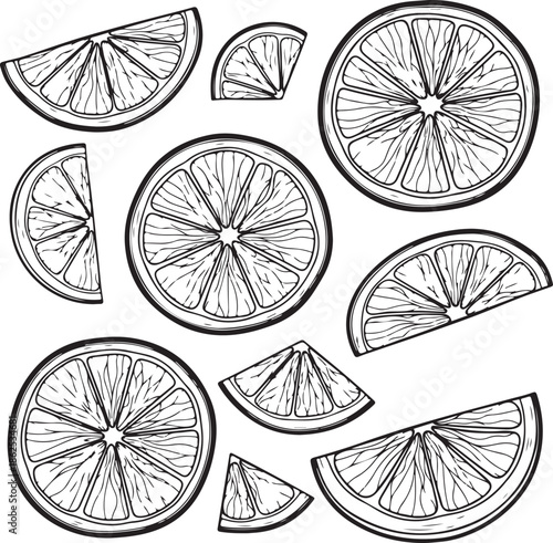 handdrawn lemon slices collection