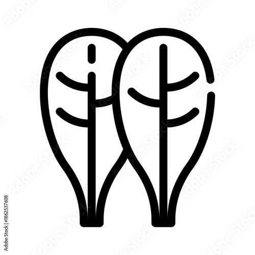 spinach line icon