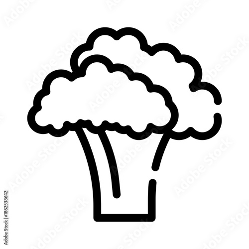 cauliflower line icon