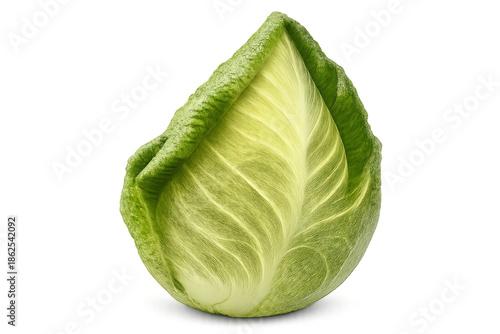 Pointed cabbage fresh green vegetable on transparent background offering healthy diet and organic food concepts