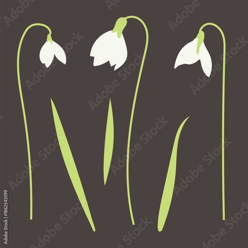 Vector set of flowering lilies of the valley in flat style. Suitable for designing postcards, posters, banners. Vector illustration. 