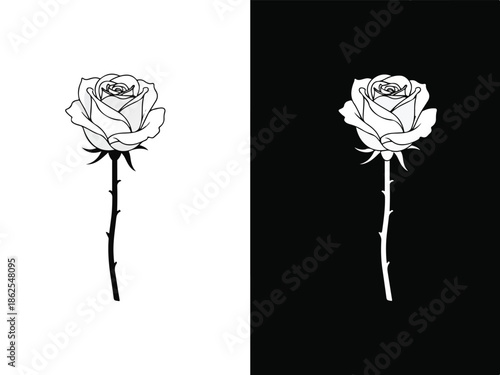 A minimalist illustration of a single white rose on contrasting black and white backgrounds, showcasing a simple yet elegant floral design, ideal for Christmas or romantic themes.