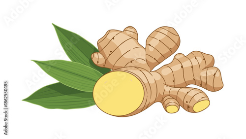 Fresh ginger root with green leaves, showing a cut slice of the rhizome, isolated on a white background for culinary and health concepts.