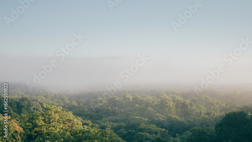 Photography misty morning in the mountains