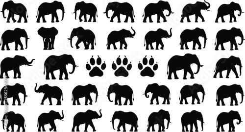 Elephant silhouette set, African wildlife safari animal collection, standing and walking pachyderm icons, nature conservation symbol, wild elephant footprints, vector.