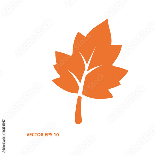Single orange leaf illustration Vector