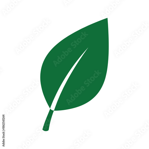 Single green leaf Vector