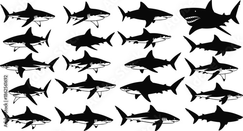 Shark silhouette vector collection featuring great white, hammerhead, and predatory shark clip art icons for ocean marine life graphic design elements.