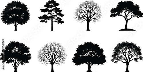 Tree silhouettes set, diverse forest nature species collection, oak pine and deciduous garden elements, landscape design icons, environmental greenery vector.