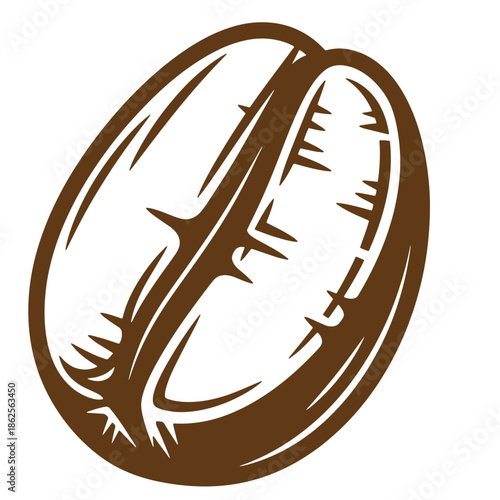 brown coffee bean illustration with cracks and lines on surface  closeup