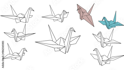 Group of origami paper cranes in various sizes and colors like white brown and teal on plain white background.