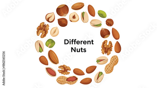 Circular arrangement of various whole and peeled nuts with different nuts text in center for healthy snack theme.
