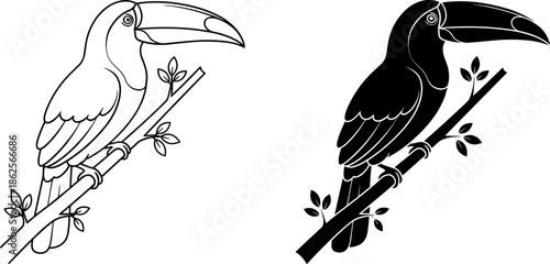 Detailed line art and solid black silhouette toucan illustrations perched on tropical branches for exotic bird nature and jungle designs.