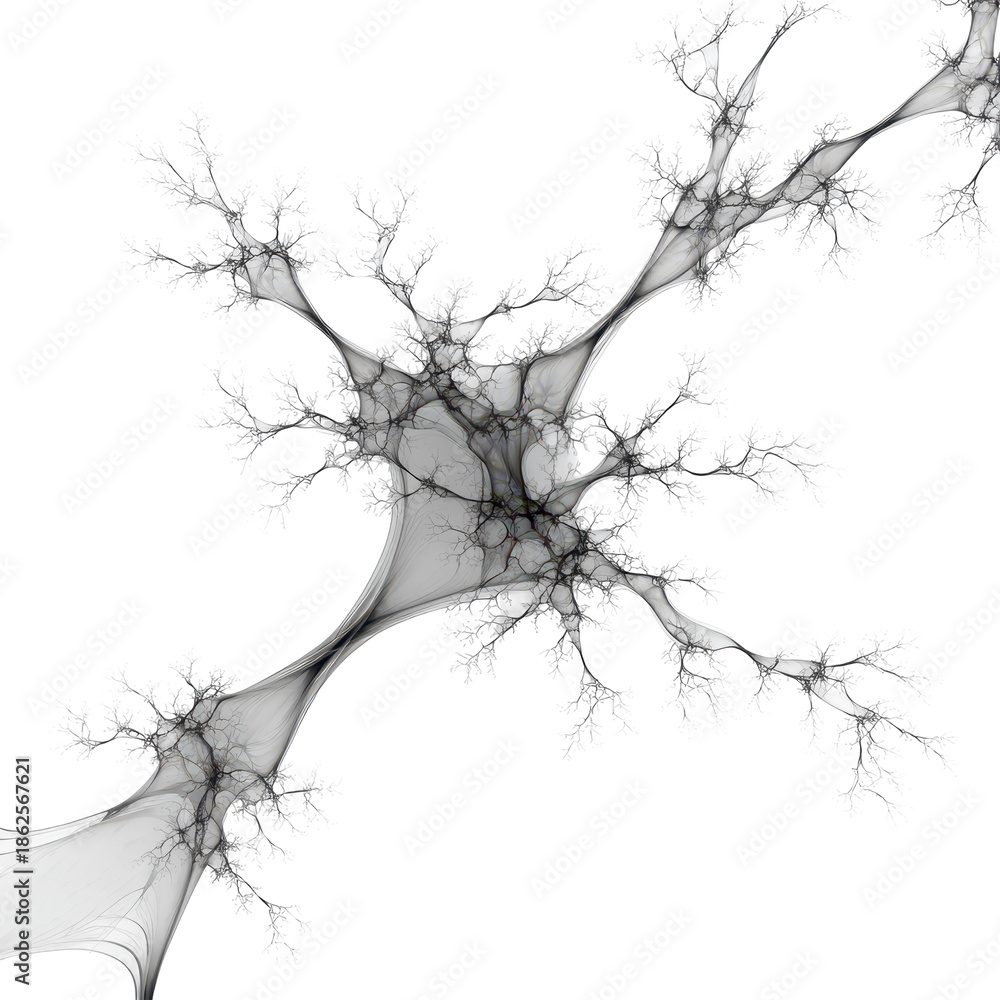 Fototapeta premium Black dead tree silhouette with bare winter branches and a forest trunk isolated on white background as a nature vector illustration
