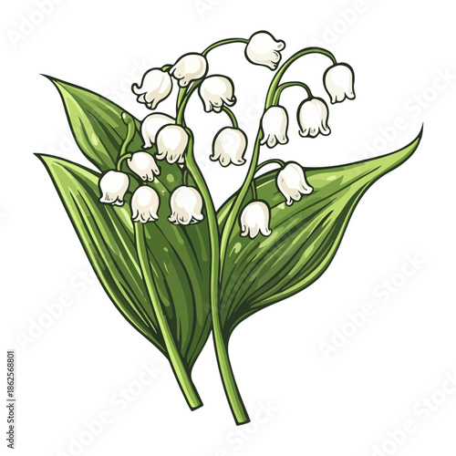 lily, plant, easter, festival, vector, transparent background, nature, white, isolated, floral, botanical, flower, fresh, beauty, unopened