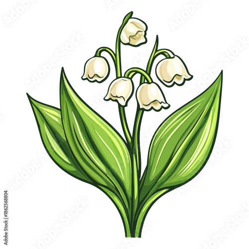 lily, plant, easter, festival, vector, transparent background, nature, white, isolated, floral, botanical, flower, fresh, beauty, unopened