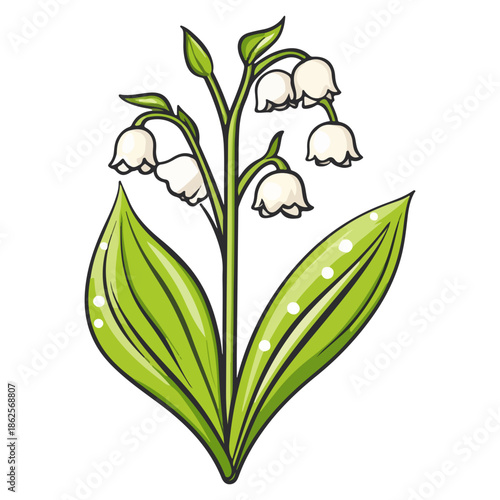 lily, plant, easter, festival, vector, transparent background, nature, white, isolated, floral, botanical, flower, fresh, beauty, unopened