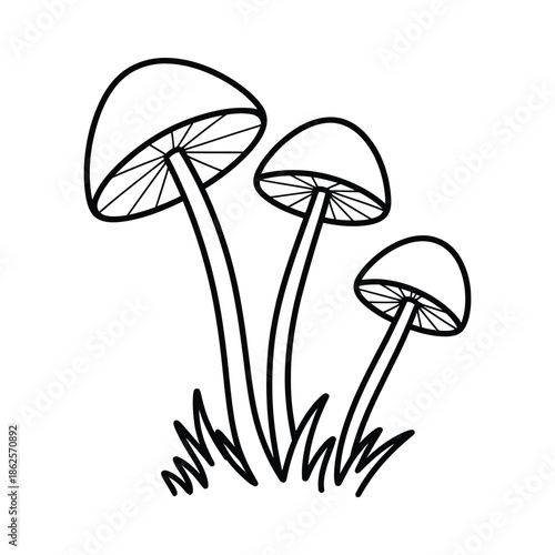 Hand Drawn Mushroom Line Art Illustration Botanical Nature Sketch