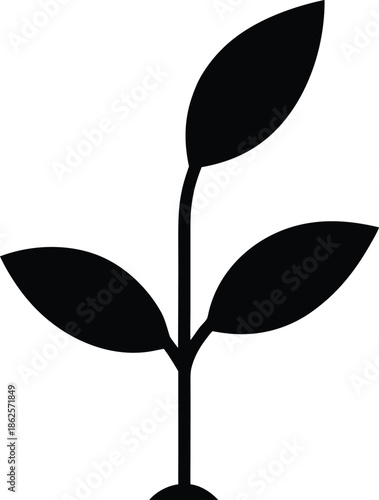 Black silhouette of a young seedling with three leaves