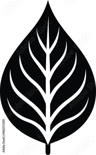 Minimalist black leaf silhouette vector graphic white