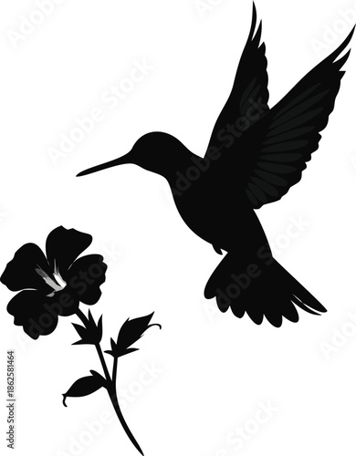 Silhouette Of A Hummingbird Hovering Near A Hibiscus Flower