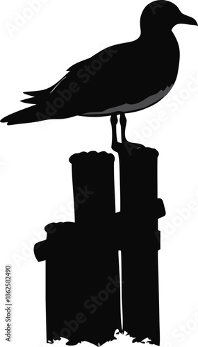 Seagull Resting On A Wooden Pier Post