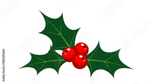 Christmas Holly With Red Berries green
