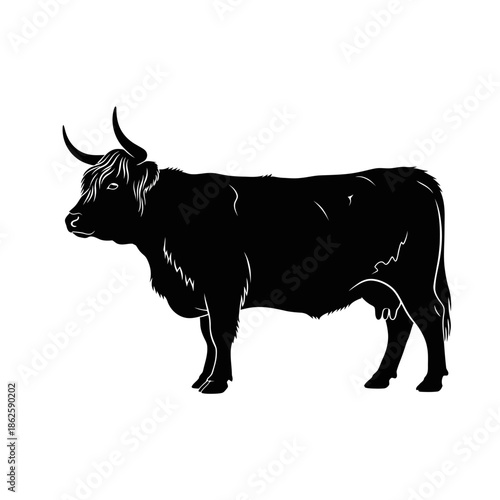 A striking depiction of a highland cattle standing in profile showcased as a bold silhouette