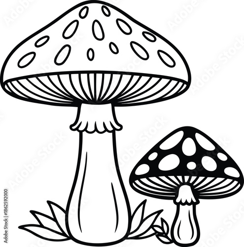Two charming spotted mushrooms with delicate gills and leaves in a whimsical forest illustration