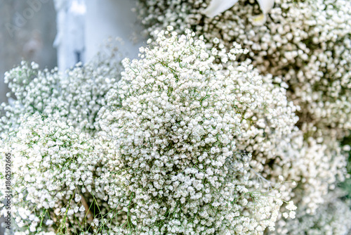 Beautiful flowers decorations, flower background, backdrop wedding decoration, rose pattern, colorful background, bunch of flowers.