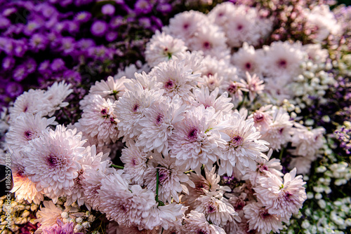 Beautiful flowers decorations, flower background, backdrop wedding decoration, rose pattern, colorful background, bunch of flowers.