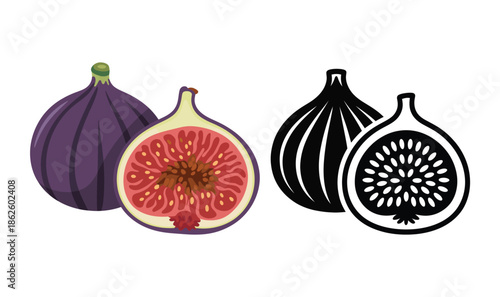 Fig fruit vector set whole and sliced dessert in different styles healthy organic food outline black glyph color icons