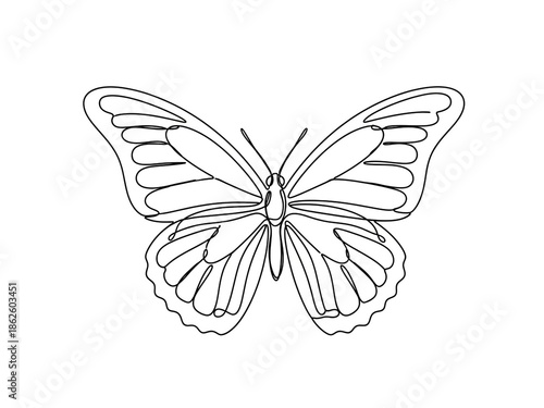Elegant butterfly illustration in simple black line art style