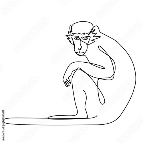 Vervet monkey one line drawing. Vervet monkey single line illustration. Vervet monkeyminimalist line art. Vervet monkey vector art