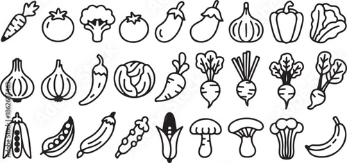 Variety of fresh vegetables and fruits icons isolated on white background