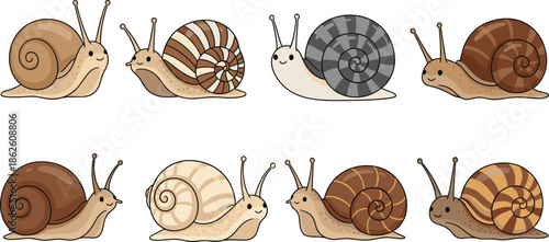Cute snail cartoon vector illustration set with different shell patterns and colors in simple flat style