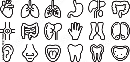 Medical outline icons depicting human organs and body parts for health and science Keywords: heart, lungs, stomach