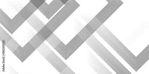 Geometric diagonal oblique vector curve gradient black and white graphic stripe line. Repeated fine diagonal lines Thin slash line stripes diagonal vector elegant background