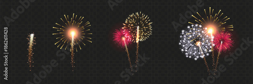 Vector Brightly Colorful Fireworks on the background of the night sky.