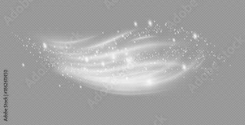 Christmas background with snowflakes. Snow flakes with wind, snow .S now storm effect, blurred, cold wind with snow . Heavy snowfall, snowflakes in different shapes and forms. Wind.